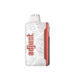 Watermelon Ice Adjust MyCool 40K Puffs