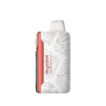 Watermelon Ice Adjust MyCool 40K Puffs