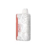 Watermelon Ice Adjust MyCool 40K Puffs