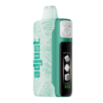 Wintergreen Savers Adjust MySweet 40K Puffs