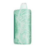 Wintergreen Savers Adjust MySweet 40K Puffs